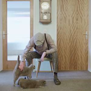 All cats are grey in dark - 2
