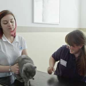 All cats are grey in dark - 9