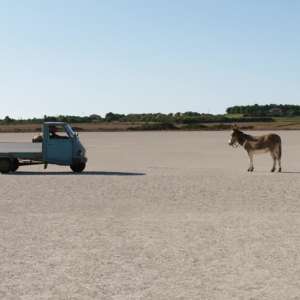 Čovek koji je kupio mesec - 1