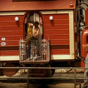 Black Cat, White Cat - 1