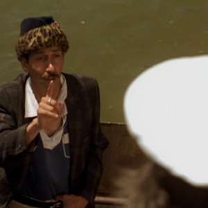 Black Cat, White Cat - 2