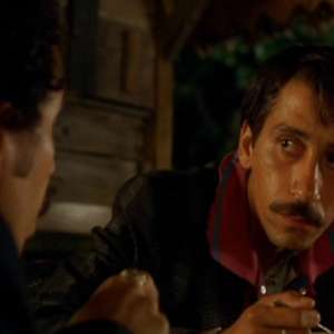 Black Cat, White Cat - 8