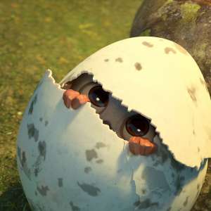 Cvrle - Nikad ne letiš sam - 6