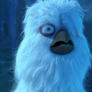 Cvrle - Nikad ne letiš sam - 14