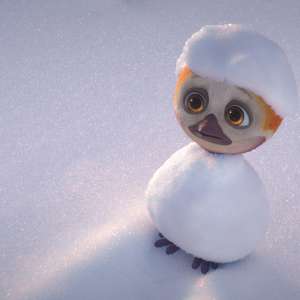 Cvrle - Nikad ne letiš sam - 22