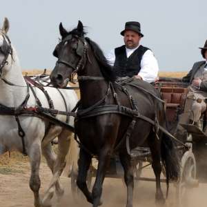 Doba Dundjerskih - 10