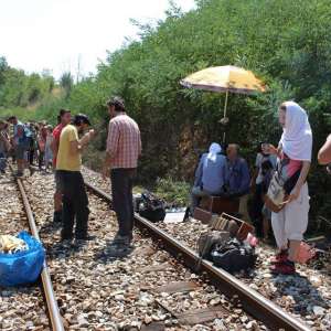 Year of the Monkey - 11