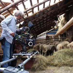 Year of the Monkey - 14