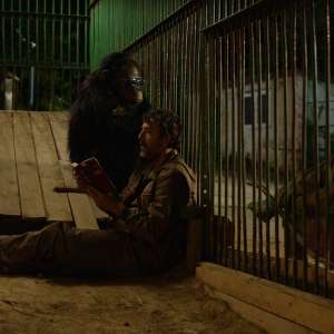 Year of the Monkey - 3