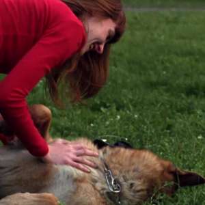 Jesen u mojoj ulici - 4