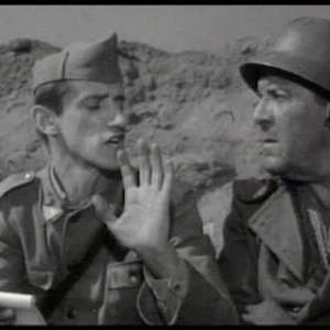 A cat under a helmet - 1