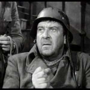 A cat under a helmet - 11