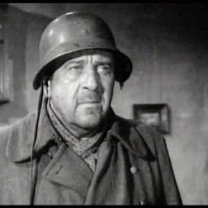 A cat under a helmet - 12