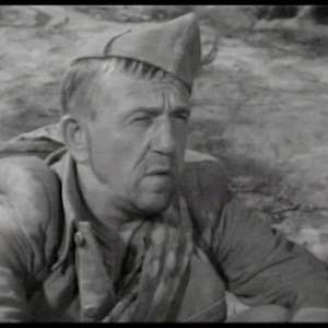 A cat under a helmet - 3