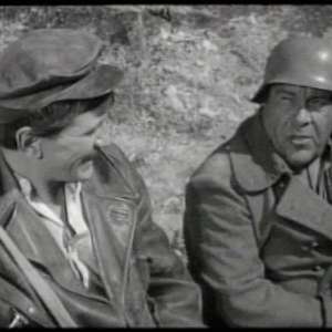 A cat under a helmet - 4