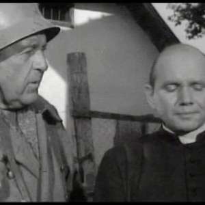 A cat under a helmet - 5