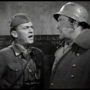 A cat under a helmet - 6