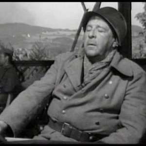 A cat under a helmet - 7