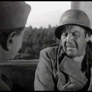 A cat under a helmet - 8