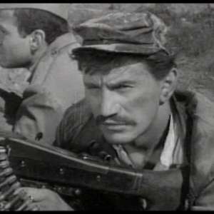 A cat under a helmet - 9