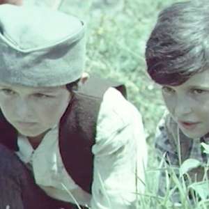 Mirko and Slavko - 2