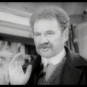 Narodni poslanik - 2