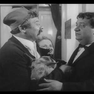 Quo vadis Zivorade?! - 10