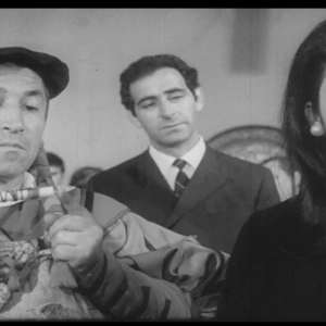 Quo vadis Zivorade?! - 8