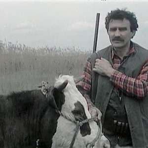 The Way Steel Was Tempered - 5