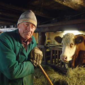 Granična ograda - 1