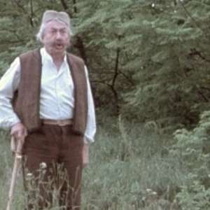 Foolish Years 2 - 12