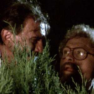 Foolish Years 2 - 14