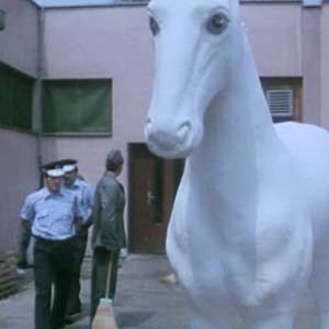 Žikina Dinastija 3  - 17