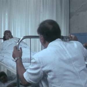 Žikina Dinastija 3  - 8