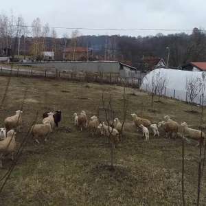 Lepše od Pariza - 17